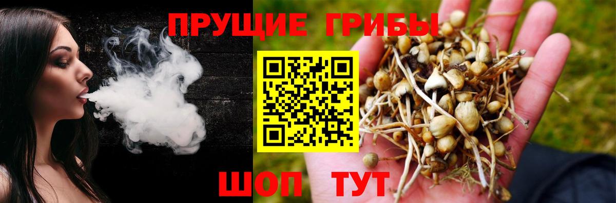 Надым  Галлюциногенные грибы MAGIC MUSHROOMS  купить наркотик  Вход с VPN 