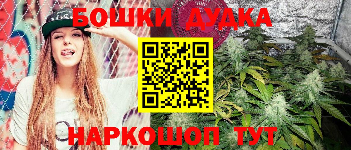 Бошки марихуана Bruce Banner  Вход с VPN  Бошки Шишки тримм  Конопля конопля  Надым  Шишки марихуана планчик 